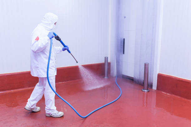 Spring Cleaning in Greentree, NJ